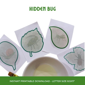 May include: White cards with green-outlined leaf shapes, each containing a different insect illustration. A bowl of yellow liquid and a paintbrush are in the foreground. The text "HIDDEN BUG" is at the top, and "INSTANT PRINTABLE DOWNLOAD - LETTER SIZE 8.5x11"" is at the bottom.