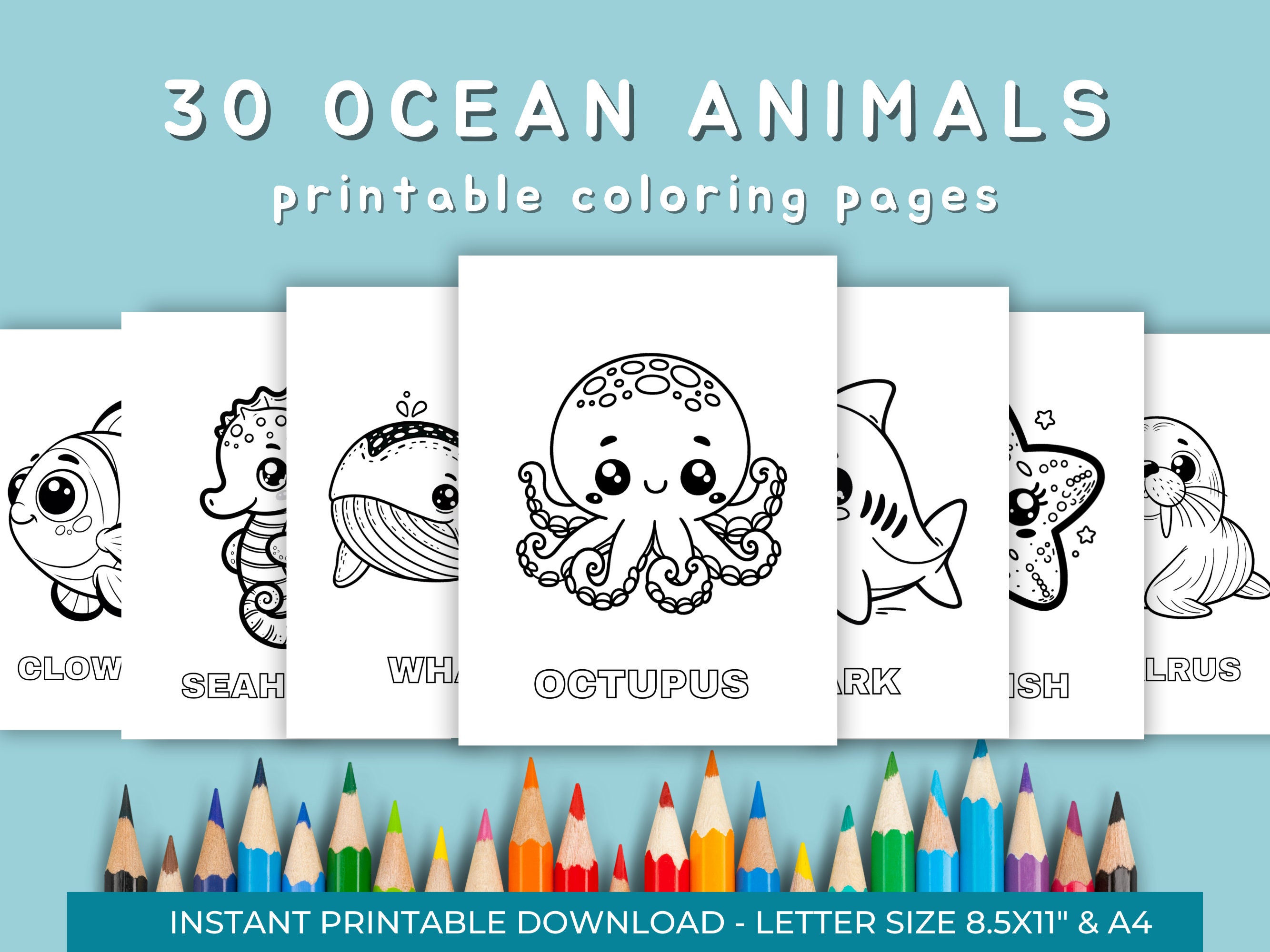 Free Printable Ocean Coloring Pages For Kids Coloring Whale Coloring