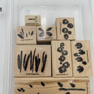 Stampin' Up Two-Step Stampin' Spring Garden Missing 1 Stamp 2003 Retired