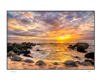 Turtle Cove:  Maui Hawaii