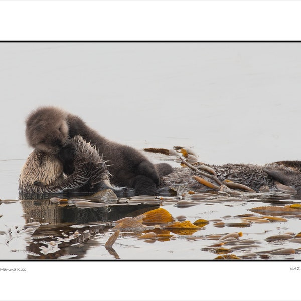 Mama Kiss: Sea Otter