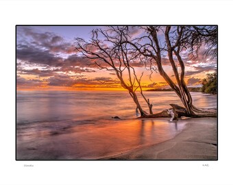 Olowalu:  Maui Hawaii