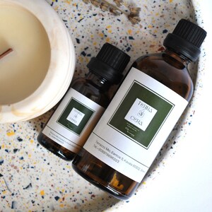 Mango doftolja för ljus, professionella oljor för vaxsmältor, bil-/garderobsdiffusor, atmosfäriska, sommardofter för ljustillverkning