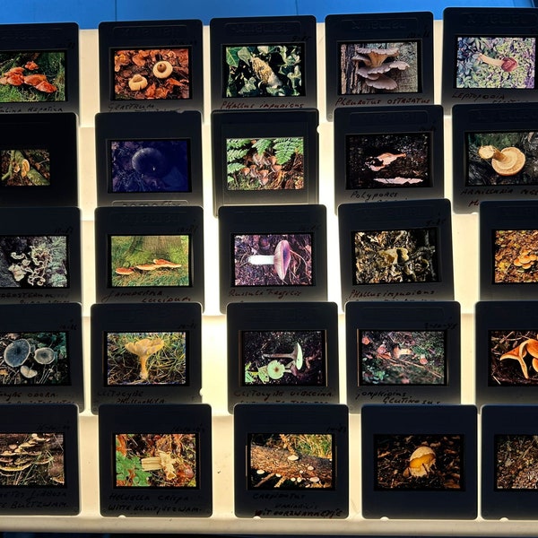 Vintage film slides, 70's 80's & 90's