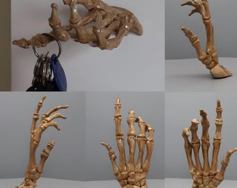 May include: A brown, realistic skeletal hand sculpture designed as a wall-mounted hook. The fingers are articulated in various positions, with one view showing a metal ring holding a set of keys. The bone-like texture features detailed joints.
