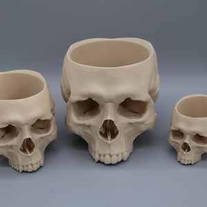 Frightening Skull Bowl - Macabre Halloween Decor