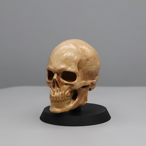 Handgefertigter Totenkopf Schaltknauf: Universal passend für SimRacing & Autos