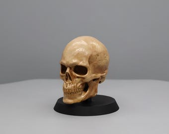 Handmade Skull Gear Shift Knob: Universal Fit for Simracing & Cars