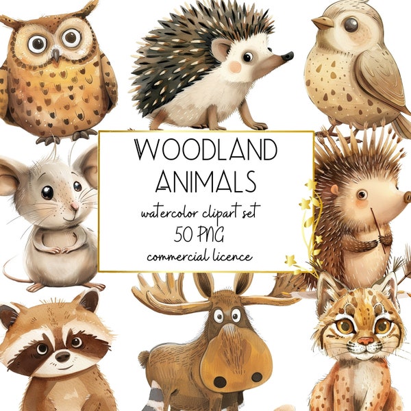 Woodland Animals Clipart, Mouse, Hedgehog, Deer, Fox, Owl, Bear Illustrations, Forest Graphics, Cute Animals Png, Nursery Art, Children Book