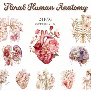 Colección de imágenes prediseñadas de acuarela de anatomía floral, pulmón floral, corazón floral, calavera floral, decoración de pared de anatomía, cerebro floral, sublimación de anatomía