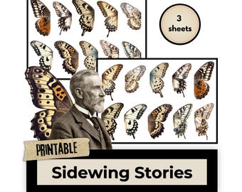 Sidewing Stories, Half Butterfly Wings, Printable Ephemera, Papercraft Download