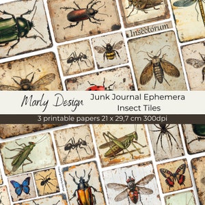 Journal insecte indésirable éphémères insectes carreaux vintage éphémères papillons Bugs pour cahiers Scrapbooking fabrication de cartes téléchargement instantané format A4