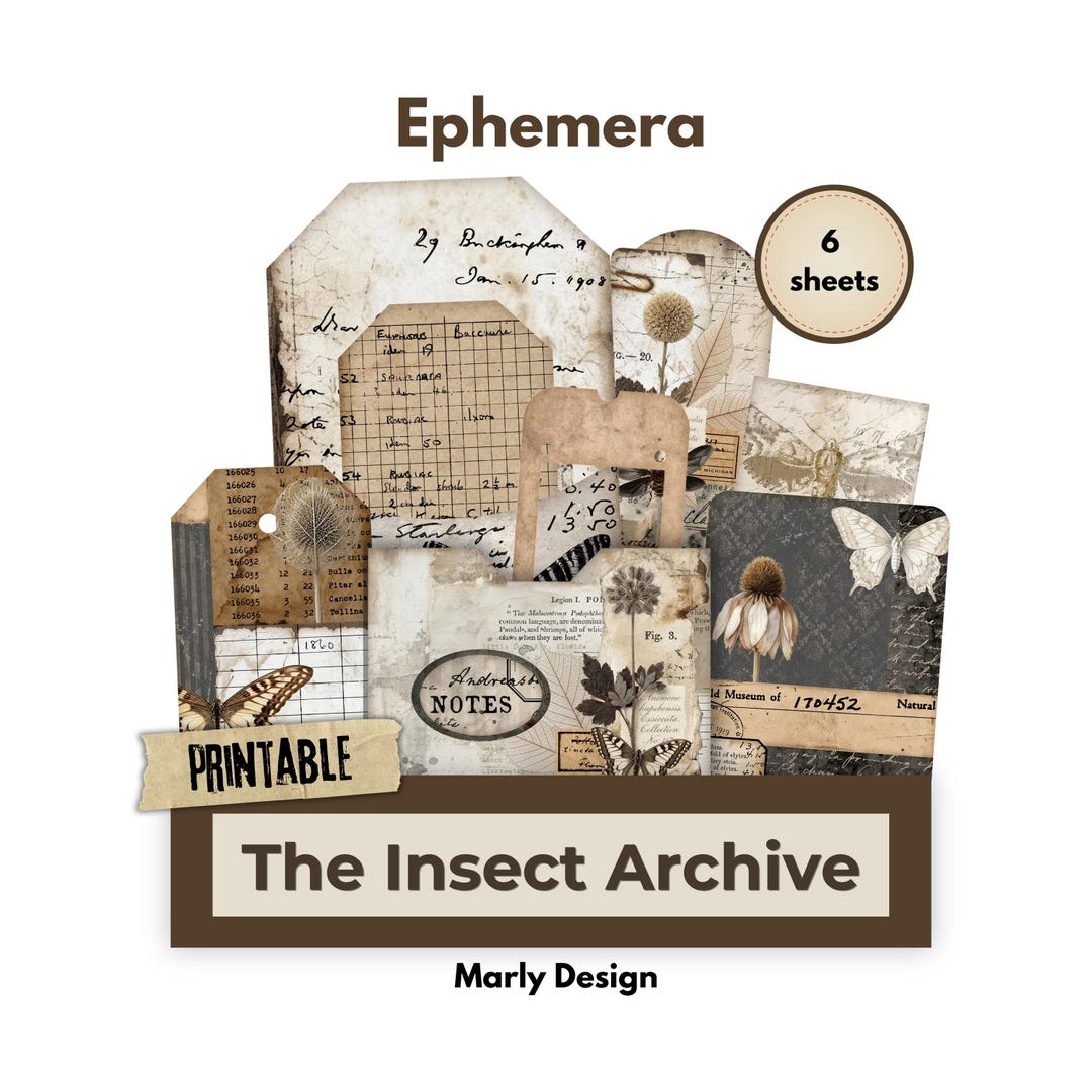 The Insect Archive Ephemera, Vintage Entomology Printable Cards Tags ...