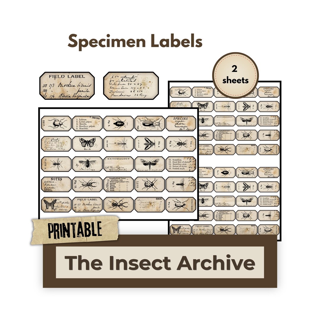 The Insect Archive Specimen Labels, Vintage Entomology Label Printables ...