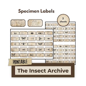 Peut inclure: Étiquettes de spécimens imprimables avec des illustrations d'insectes. Les étiquettes présentent une esthétique vintage, avec du texte manuscrit et un effet de papier vieilli. Le texte comprend "Specimen Labels", "Printable" et "The Insect Archive".