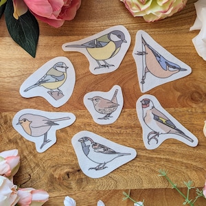 以下が含まれることがあります： 8 羽のカラフルな鳥のイラストのセットで、それぞれにユニークなデザインとポーズが施されています。鳥は薄い茶色の背景に白いアウトラインで描かれています。イラストは、クラフト、スクラップブッキング、またはあらゆるプロジェクトに自然のタッチを加えるのに最適です。