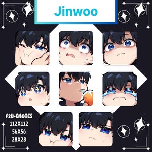 Hunter Sung Jin-woo Twitch Emotes: Streaming Assets Pack (Digital Download