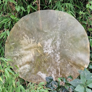 Può includere: Un grande tamburo rotondo con una superficie consumata e traslucida. La pelle del tamburo presenta un aspetto screziato con sfumature di beige, marrone e bianco. Il tamburo è circondato da un rigoglioso fogliame verde, tra cui bambù e altre piante.