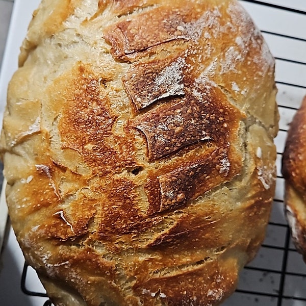 Sourdough bread loafs