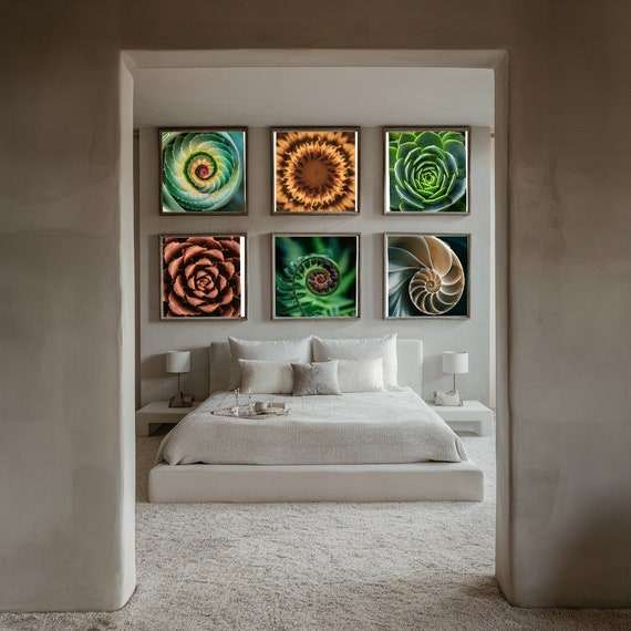 Set of 6 printable nature Fibonacci wall art; fractal wall art; biophilic design; biology décor; naturecore art; green wall art prints