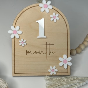 Jalon mensuel Daisy | Cartes d'étape mensuelles arquées personnalisées | Accessoires photo pour bébé | Cadeaux baby shower | Cartes en bois