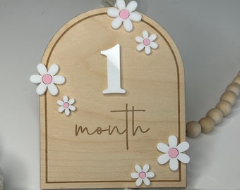 Tarjeta de hito de Daisy Baby: accesorio fotográfico de madera arqueado personalizado