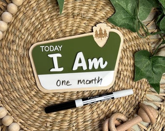 Marcadores de hitos para bebés en el Parque Nacional: accesorios de madera para fotos