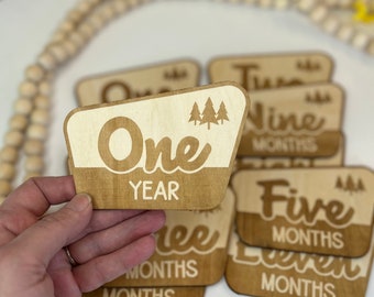 Discos de hitos de bebé grabados en madera: accesorios fotográficos de parques nacionales