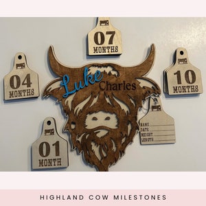 Marcadores mensuales de hitos de vaca de las Tierras Altas / Accesorio fotográfico / Tema de bebé del oeste / Etiqueta de oreja de vaca personalizada / Anuncio de hospital / Nueva mamá