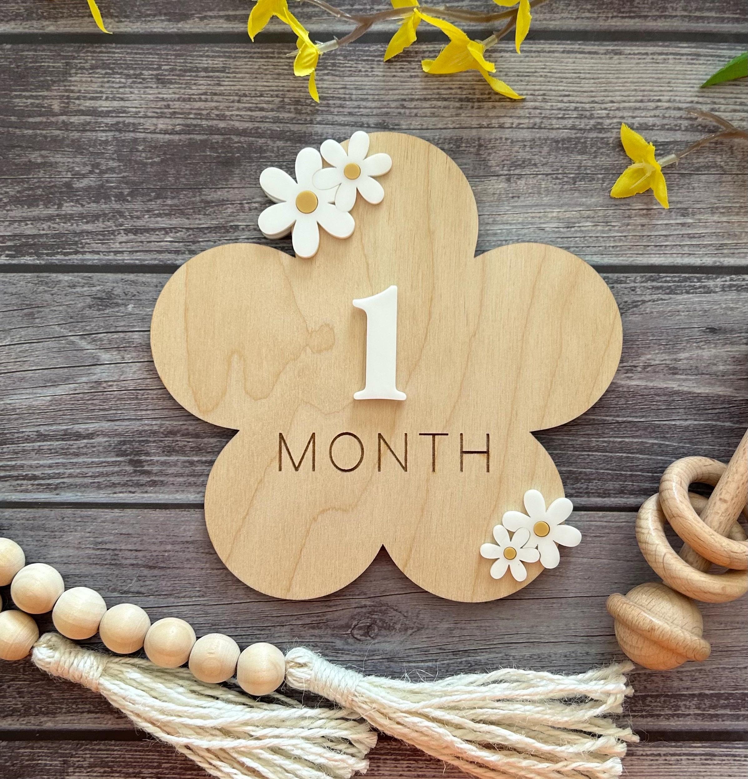 3D Wooden Daisy Monthly Milestone Sign: Boho Baby Photo Prop - Etsy
