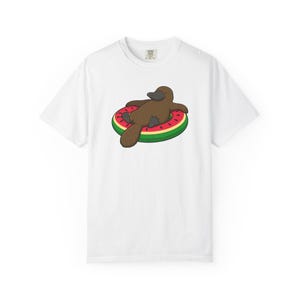 Platypus Pool Float Shirt, Comfort Colors Platypus Tee, Funny Australian Animal T Shirt, Summer Wildlife Shirt, Monotreme Gift