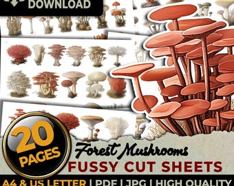 Forest Mushrooms Vintage Botanical Fussy Cuts Ephemera Printable Sheets Junk Journal Planners Crafts Scrapbook Sublimation A4 & US Letter