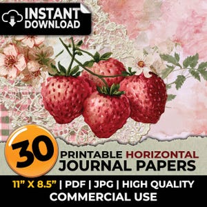 Vintage Strawberry Cottage Shabby Chic Journal Papers Printable Pages Ephemera Scrapbooking Art Journal Sublimation Decoupage