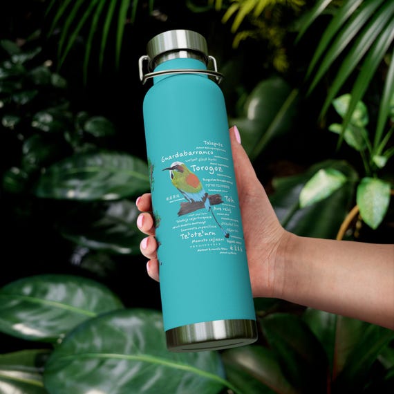 Polyglot Torogoz/ Guardabarranco / Tolobojo Ceja-Turquesa / Pájaro Toh - Insulated Water Bottle