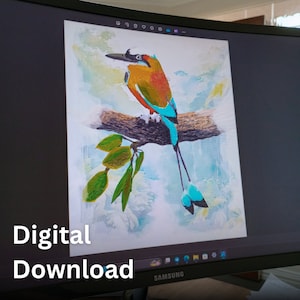 JPEGs Torogoz/Guardabarranco/Toh - Original Artwork - Digital Prints