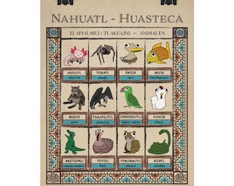 Huastecan Nahuatl Vocabulary Animal Chart - Textured Matte Posters