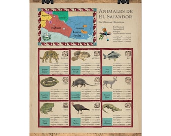 Salvadoran Animals in Indigenous and Historical Languages - Textured Matte Posters