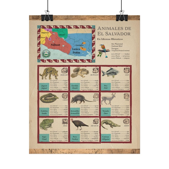 Salvadoran Animals in Indigenous and Historical Languages - Textured Matte Posters