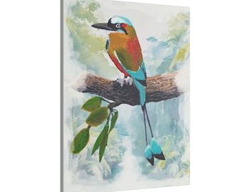 Torogoz/ Guardabarranco / Tolobojo Ceja-Turquesa / Pájaro Toh - Original Artwork - Matte Canvas