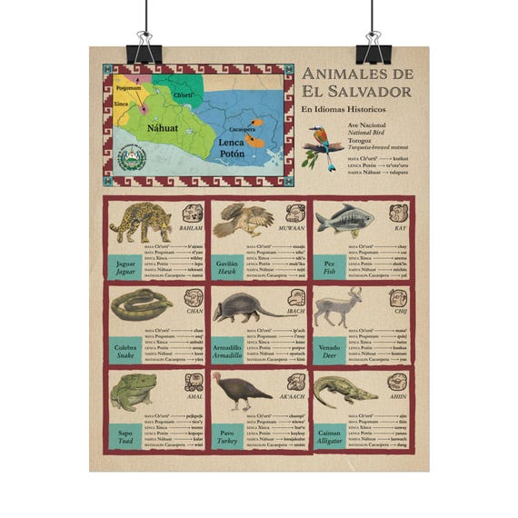 Salvadoran Animals in Indigenous and Historical Languages - Textured Matte Posters