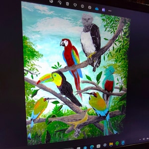 JPEGs Birds of Central America - Original Artwork - Digital Prints