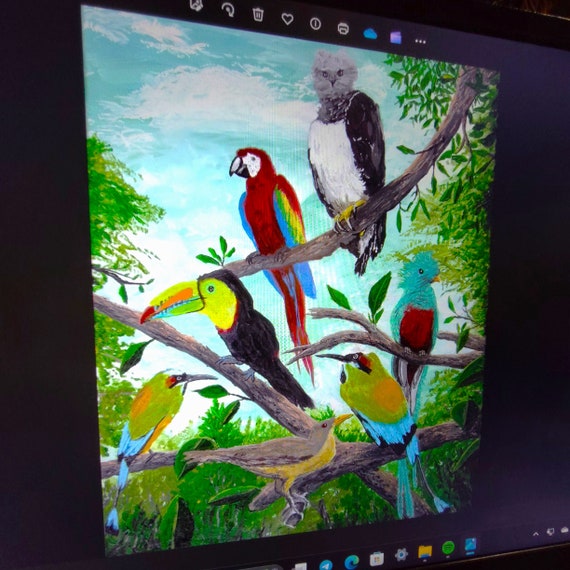 Birds of Central America - JPEG Download