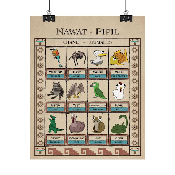 Salvadoran Nahuat Pipil Vocabulary Animal Chart - Textured Matte Posters