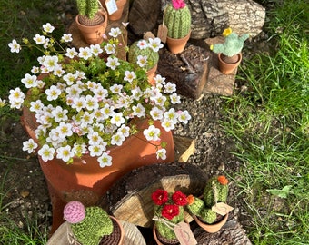 Cacti | Cactus | Crochet Cactus | Succulent set of 3 | Succulents | Knitted l Handmade | Crochet Cacti | Set of 3 | Cactuses | unique gift