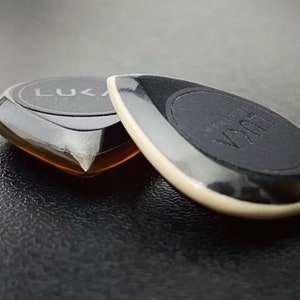 Può includere: Due plettri per chitarra, uno nero con bordo bianco e la parola "Vaxart" stampata su di esso, e uno marrone con la parola "Luka" stampata su di esso.