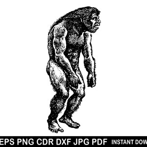 May include: Black and white line art illustration of a hairy, ape-like creature with a large head and a hunched posture.