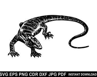 Testa di drago barbuto in formato SVG, logo di un rettile, clipart di una lucertola, silhouette di un rettile, vettore di una lucertola, maglietta di una lucertola, disegno di una lucertola