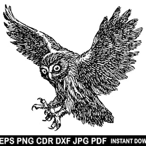 Angry Owl Vector, Barn Owl Svg Eps Png Dxf Cdr Jpg Pdf, Bird Clipart, Flying Owl Silhouette, Bird of prey Clipart
