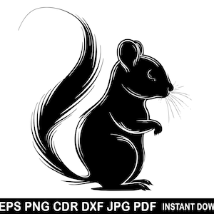 Funny Squirrel Clipart, Cute Cartoon Animals, Smile Animals Svg, Forest Animals Silhouette, Baby Squirrel Decor, Funny Caricature Vector