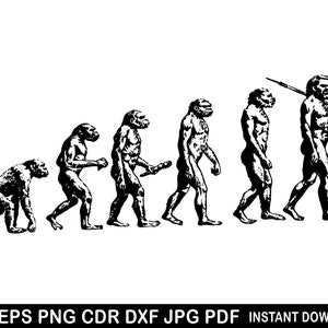 Op de afbeelding: Een zwart-witte illustratie van de evolutie van de mens, beginnend met een aapachtige figuur en voortgaand naar een moderne mens die een speer vasthoudt.